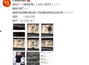 全国黑料爆料视频大全最新,视频大全背后的真相与争议